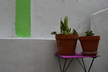 Terrace Ostello *